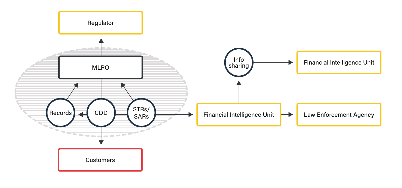 AML/CFT Ecosystem